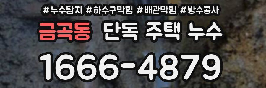 금곡동 단독 주택 누수
