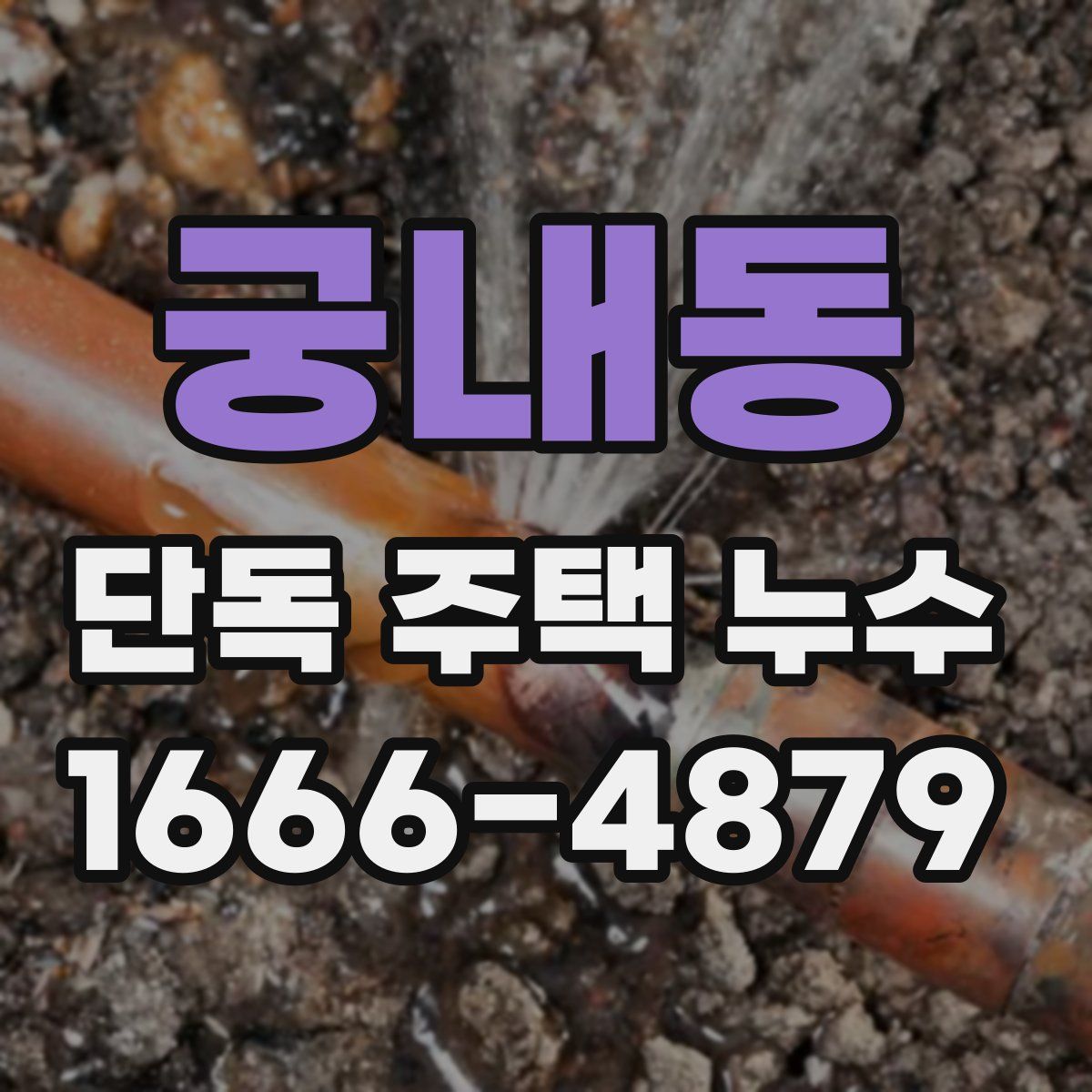 궁내동 단독 주택 누수