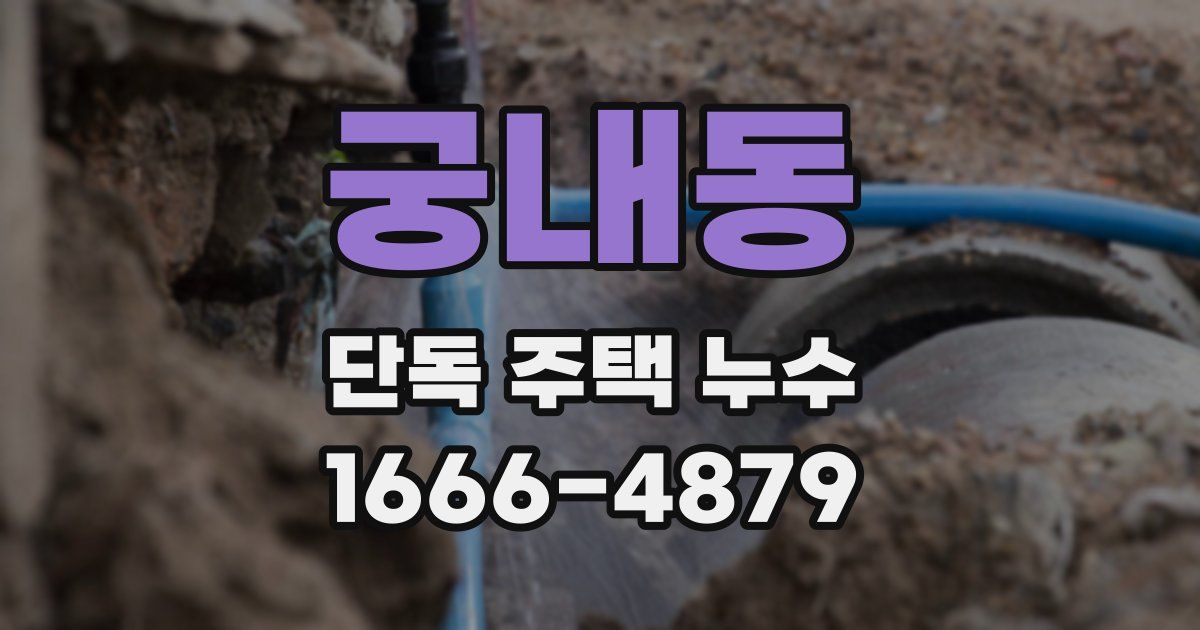 궁내동 단독 주택 누수