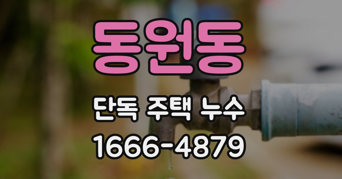 동원동 단독 주택 누수