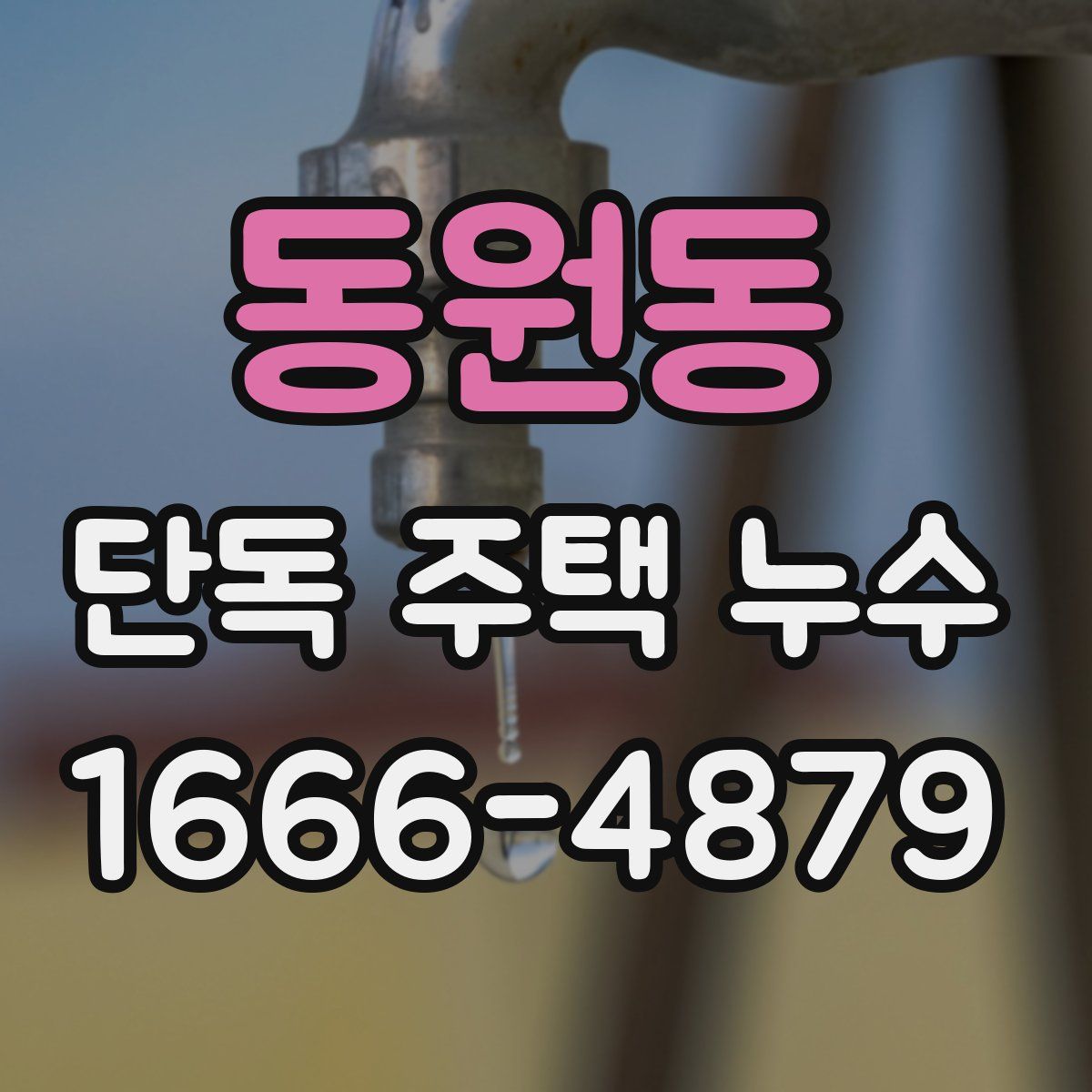 동원동 단독 주택 누수