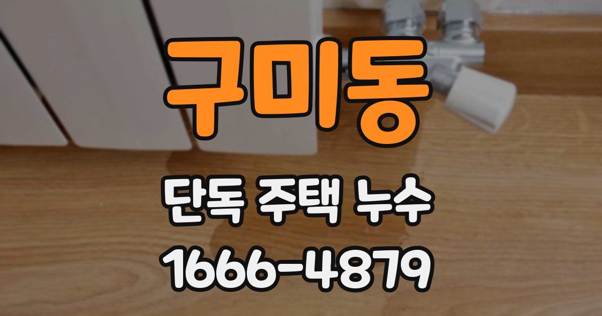 구미동 단독 주택 누수