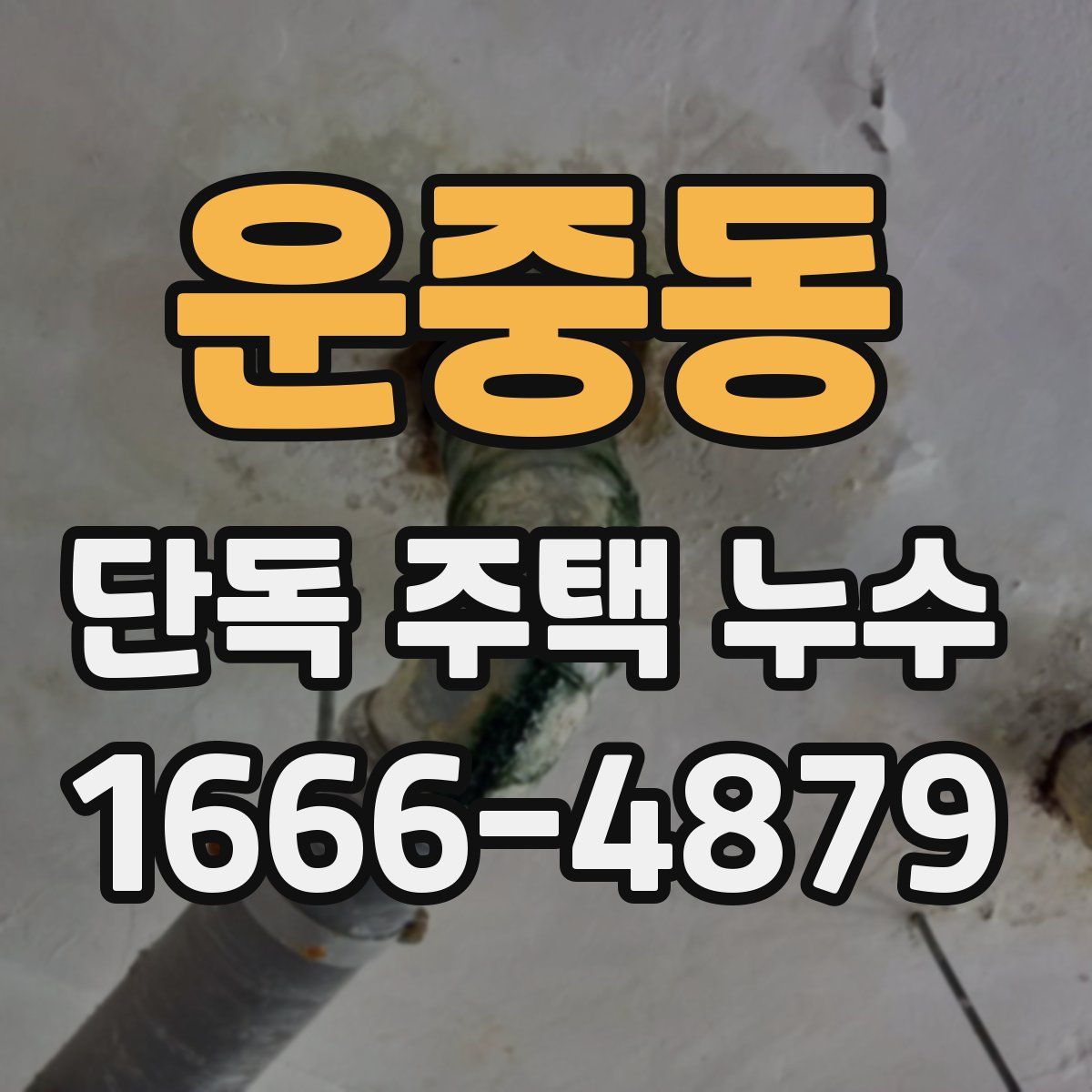 운중동 단독 주택 누수