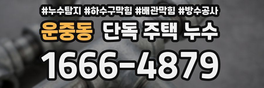 운중동 단독 주택 누수