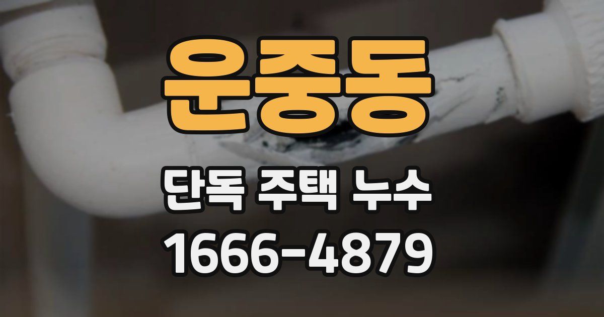 운중동 단독 주택 누수
