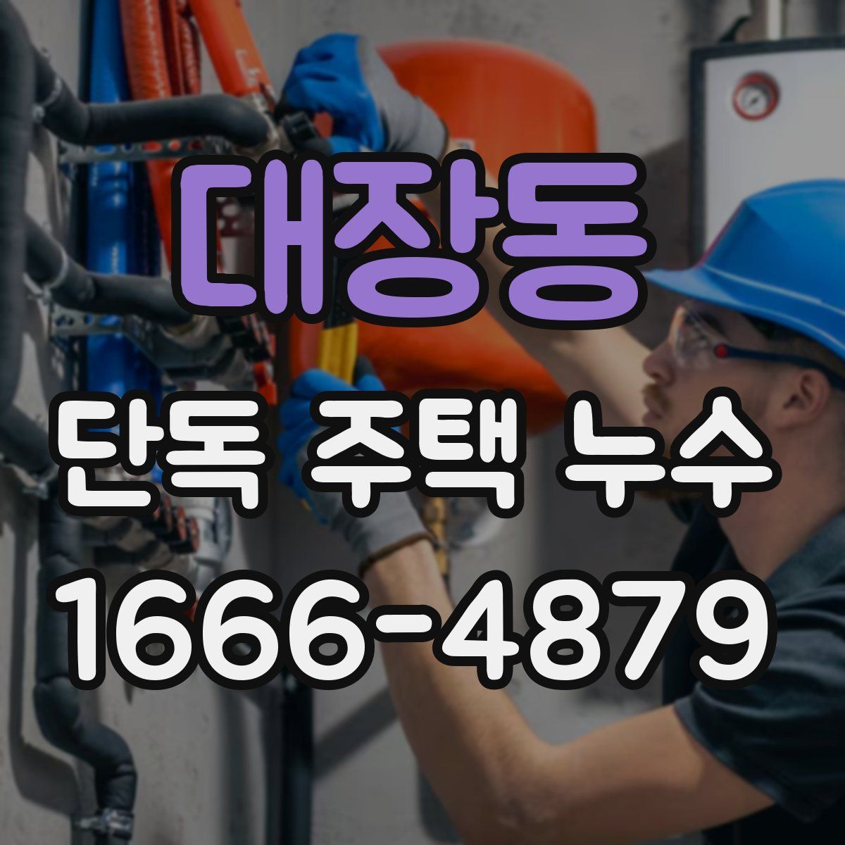 대장동 단독 주택 누수