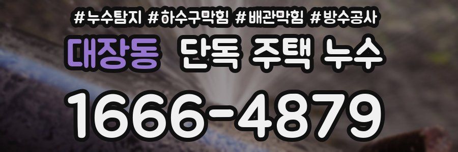 대장동 단독 주택 누수