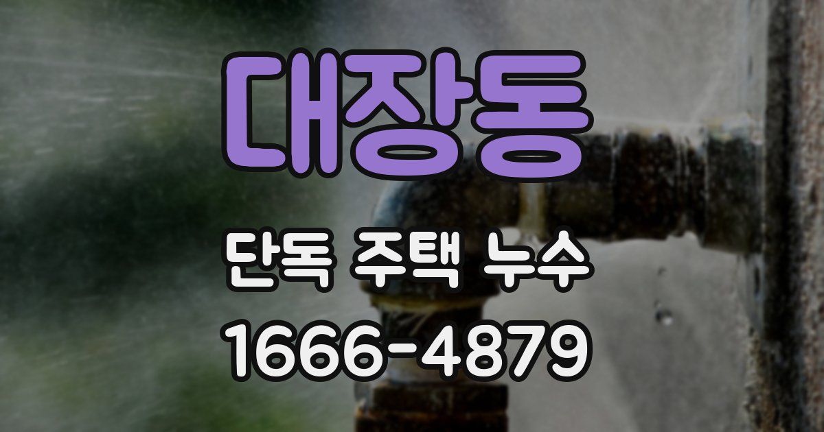 대장동 단독 주택 누수