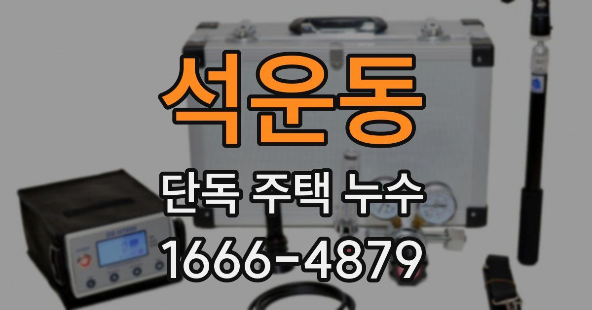 석운동 단독 주택 누수
