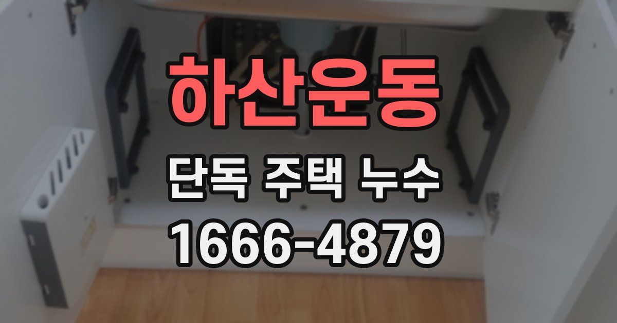 하산운동 단독 주택 누수