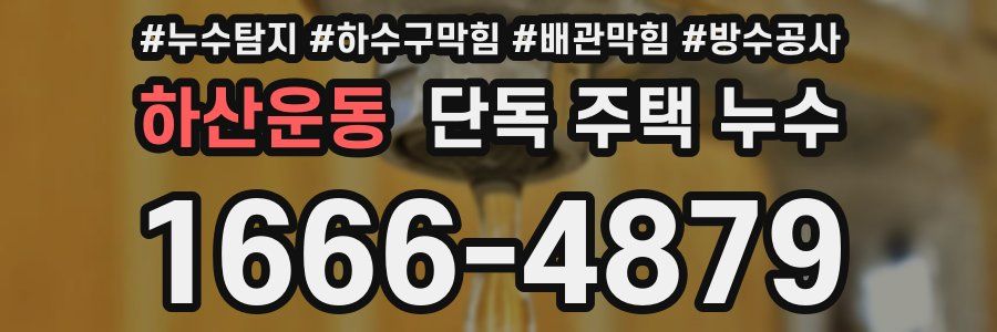 하산운동 단독 주택 누수
