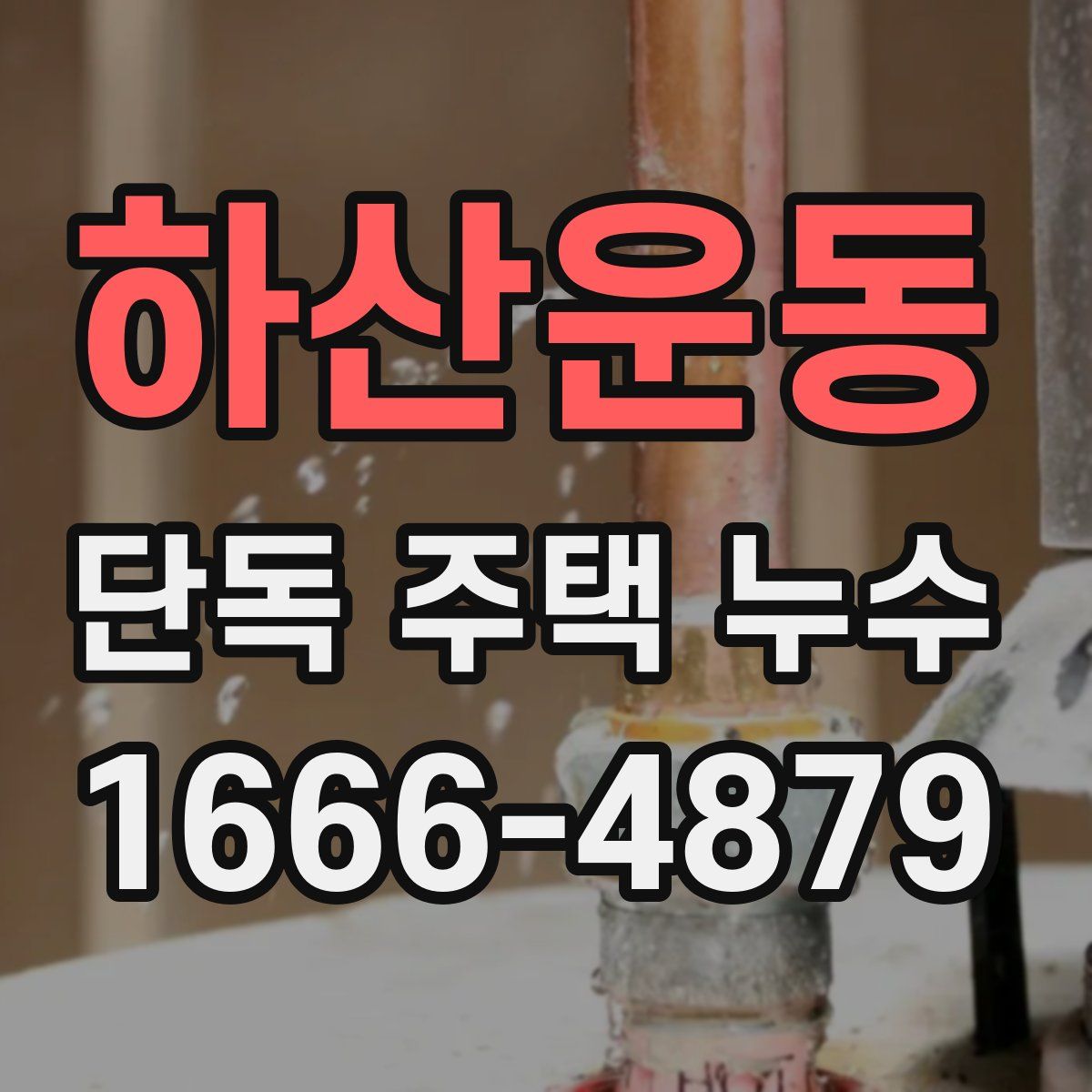 하산운동 단독 주택 누수