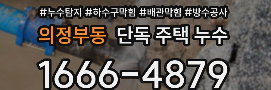 의정부동 단독 주택 누수