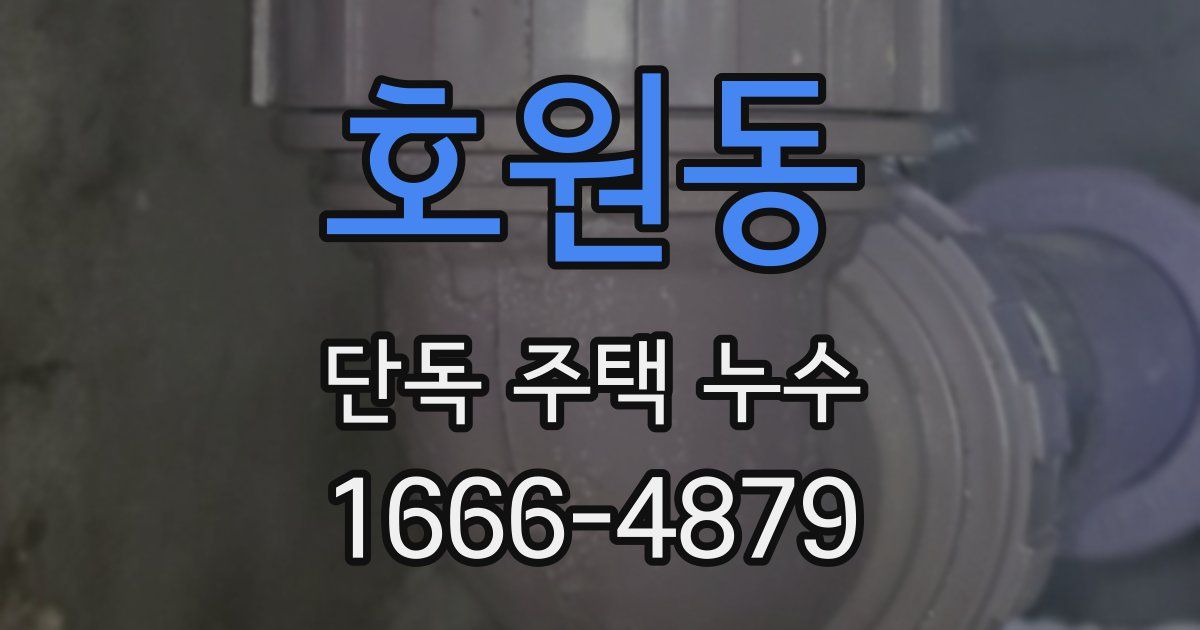 호원동 단독 주택 누수
