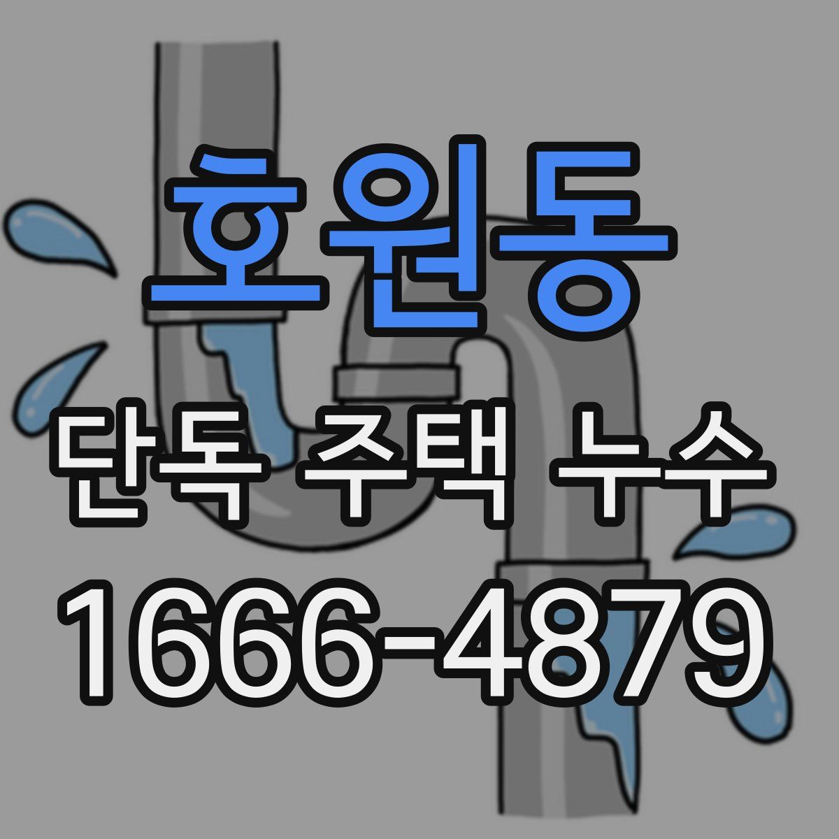 호원동 단독 주택 누수