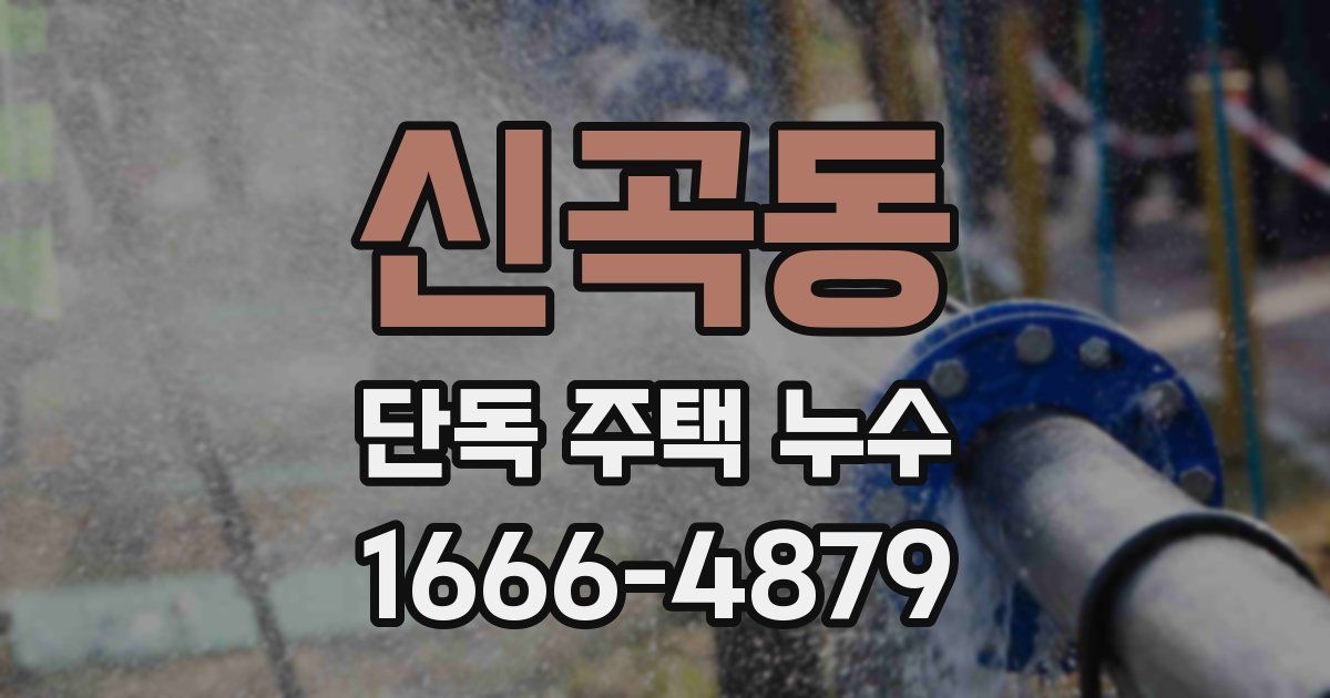 신곡동 단독 주택 누수