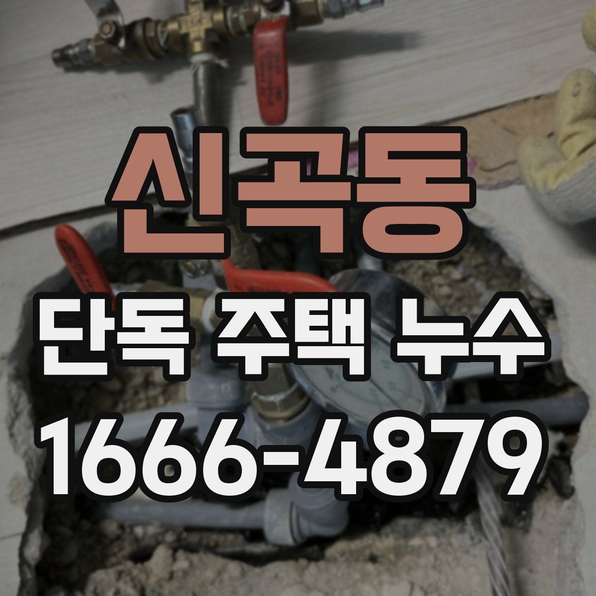 신곡동 단독 주택 누수