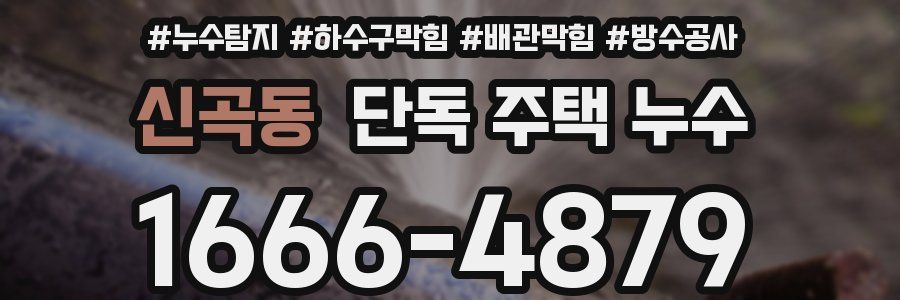 신곡동 단독 주택 누수
