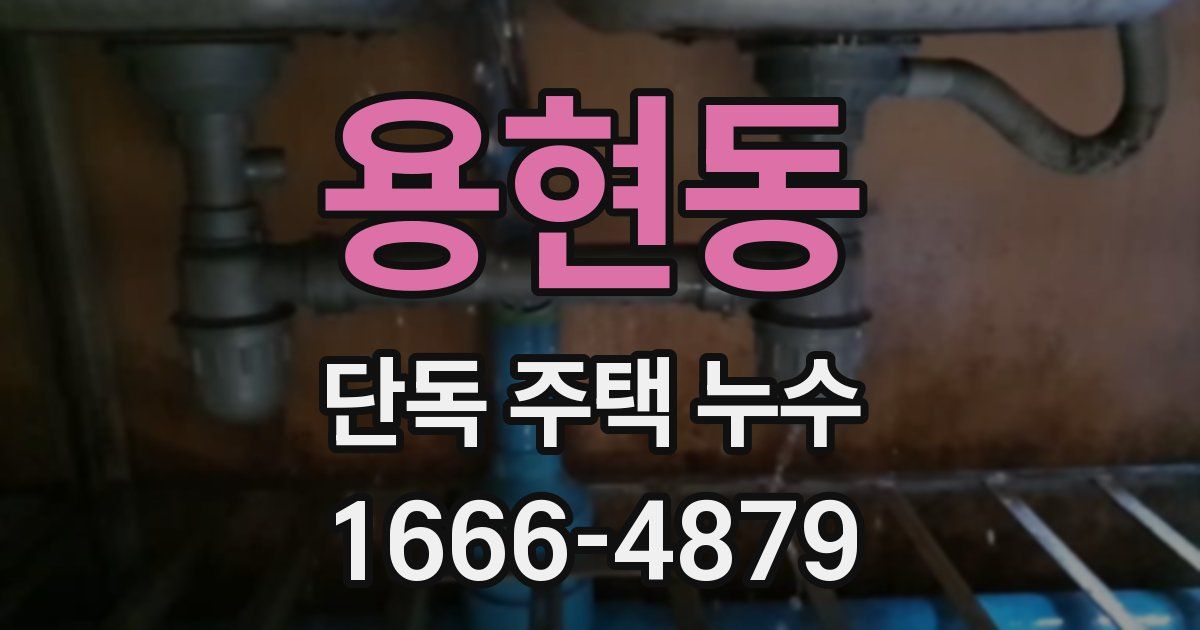 용현동 단독 주택 누수