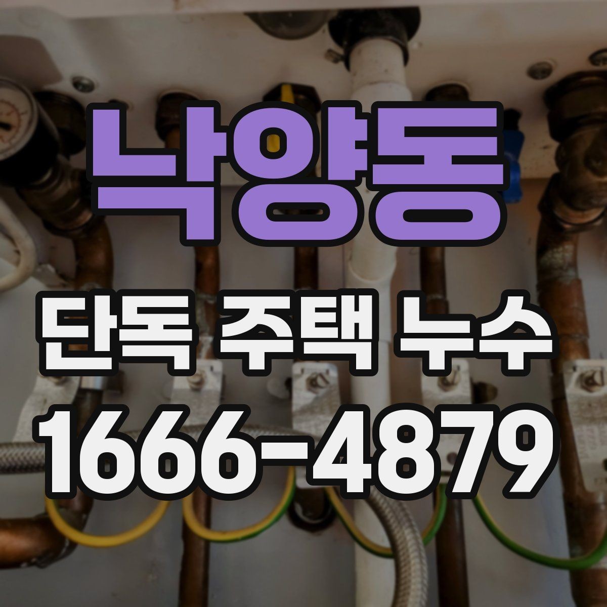 낙양동 단독 주택 누수 확인 후 청소와 환기 요령
