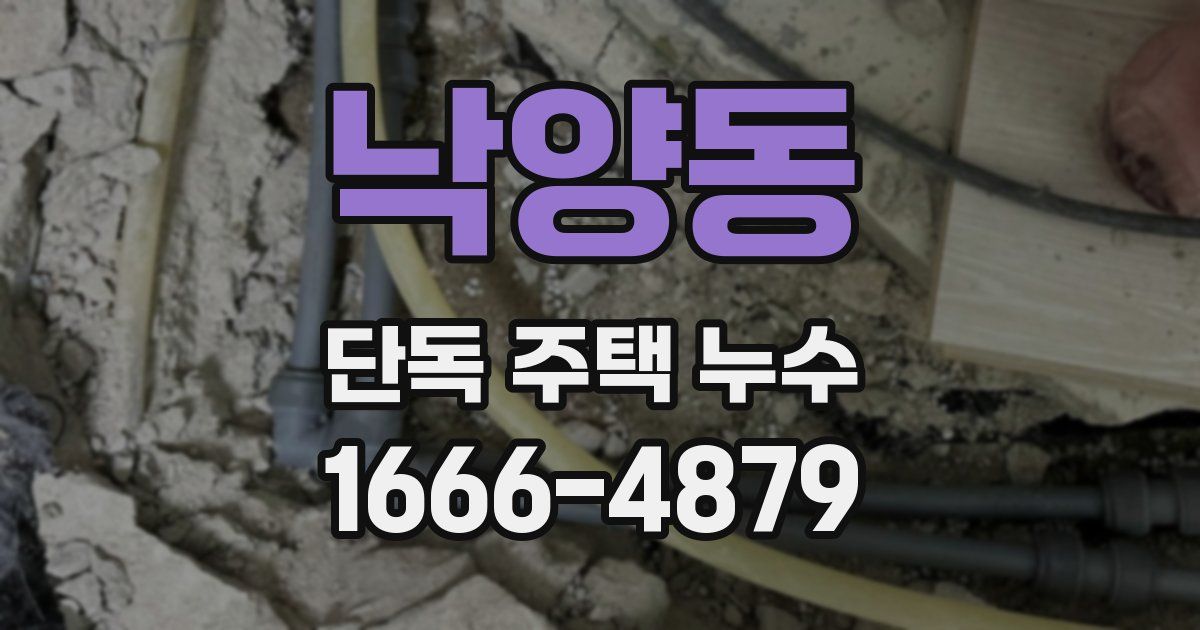 낙양동 단독 주택 누수