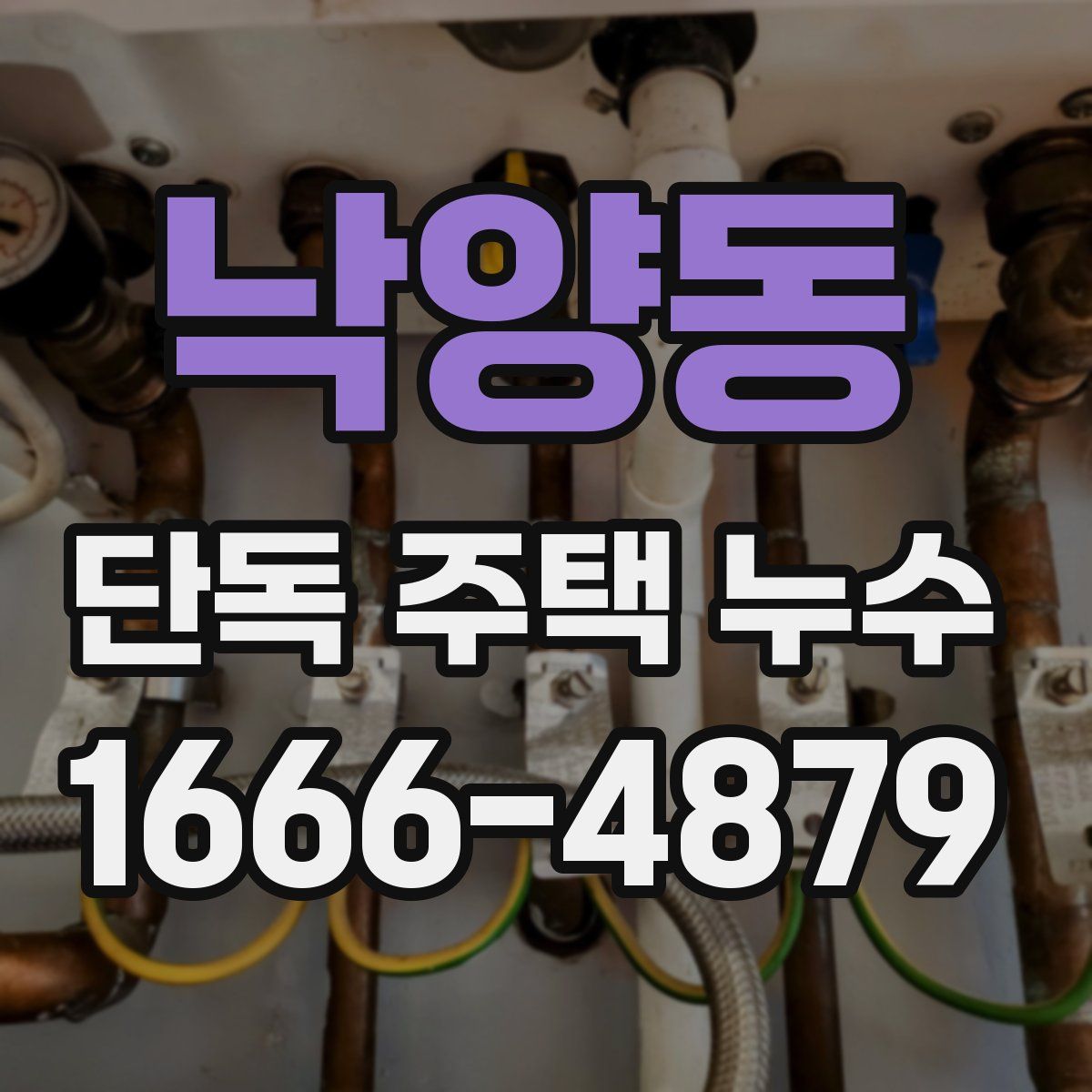 낙양동 단독 주택 누수