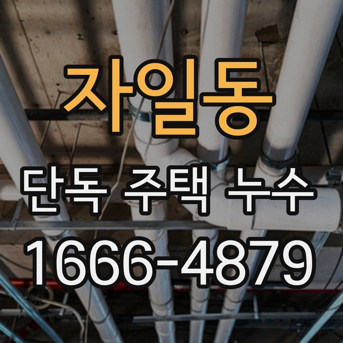 자일동 단독 주택 누수