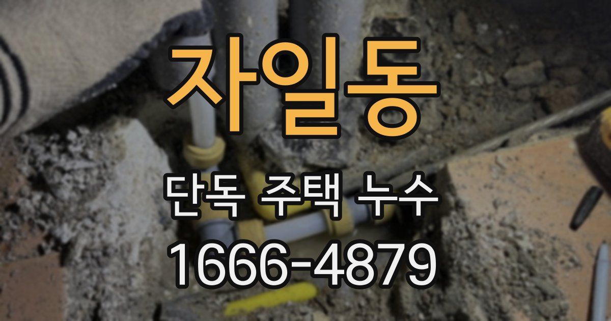 자일동 단독 주택 누수