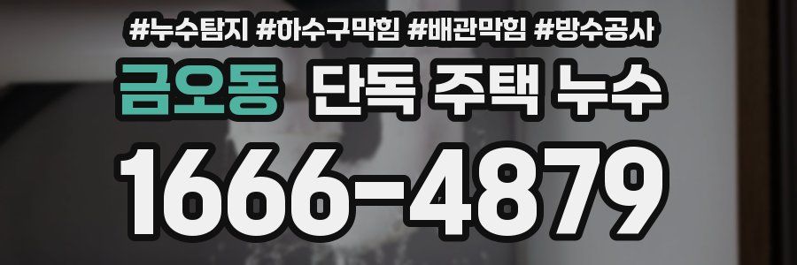 금오동 단독 주택 누수