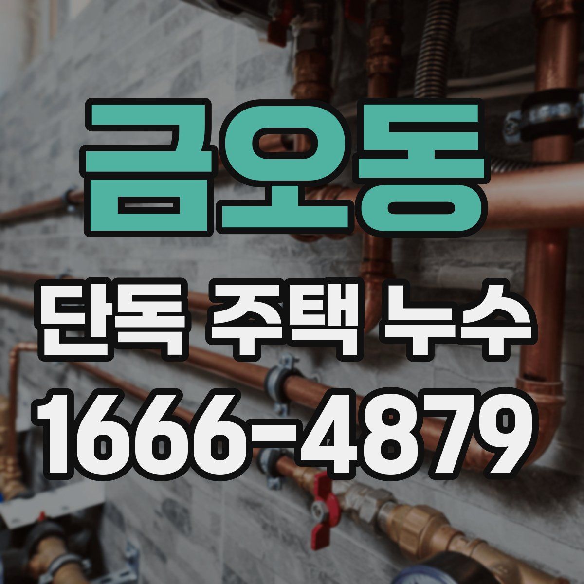 금오동 단독 주택 누수