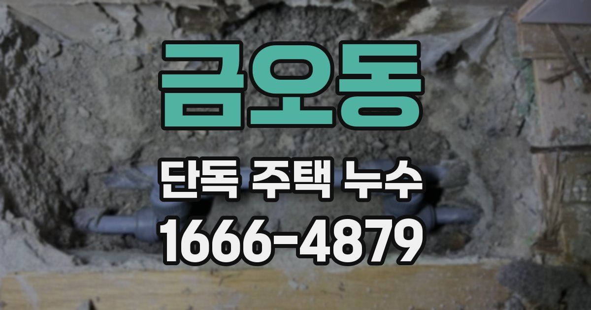 금오동 단독 주택 누수