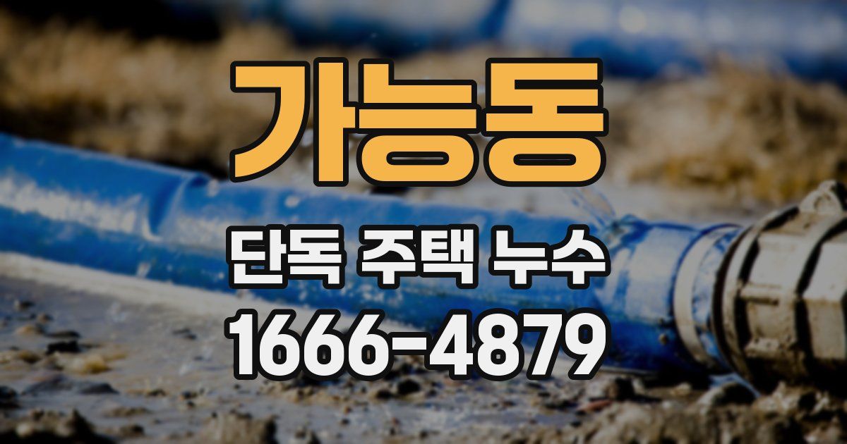 가능동 단독 주택 누수