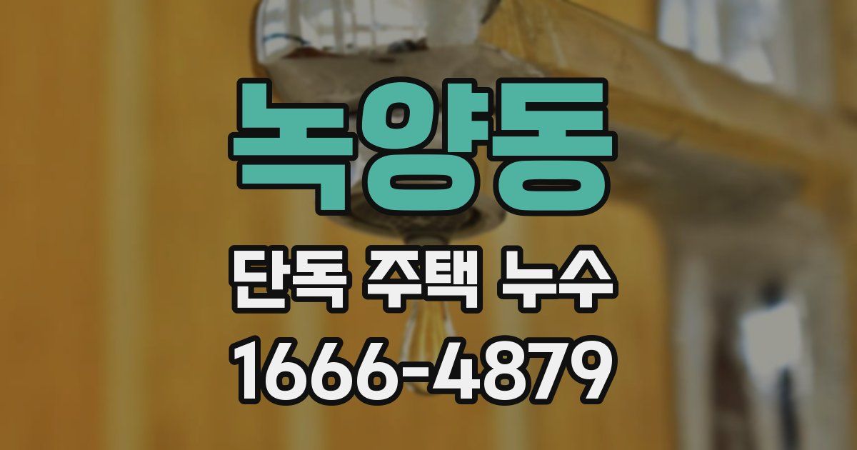 녹양동 단독 주택 누수