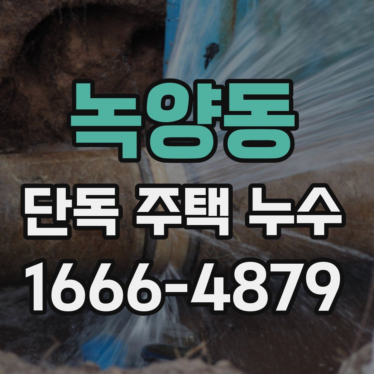 녹양동 단독 주택 누수