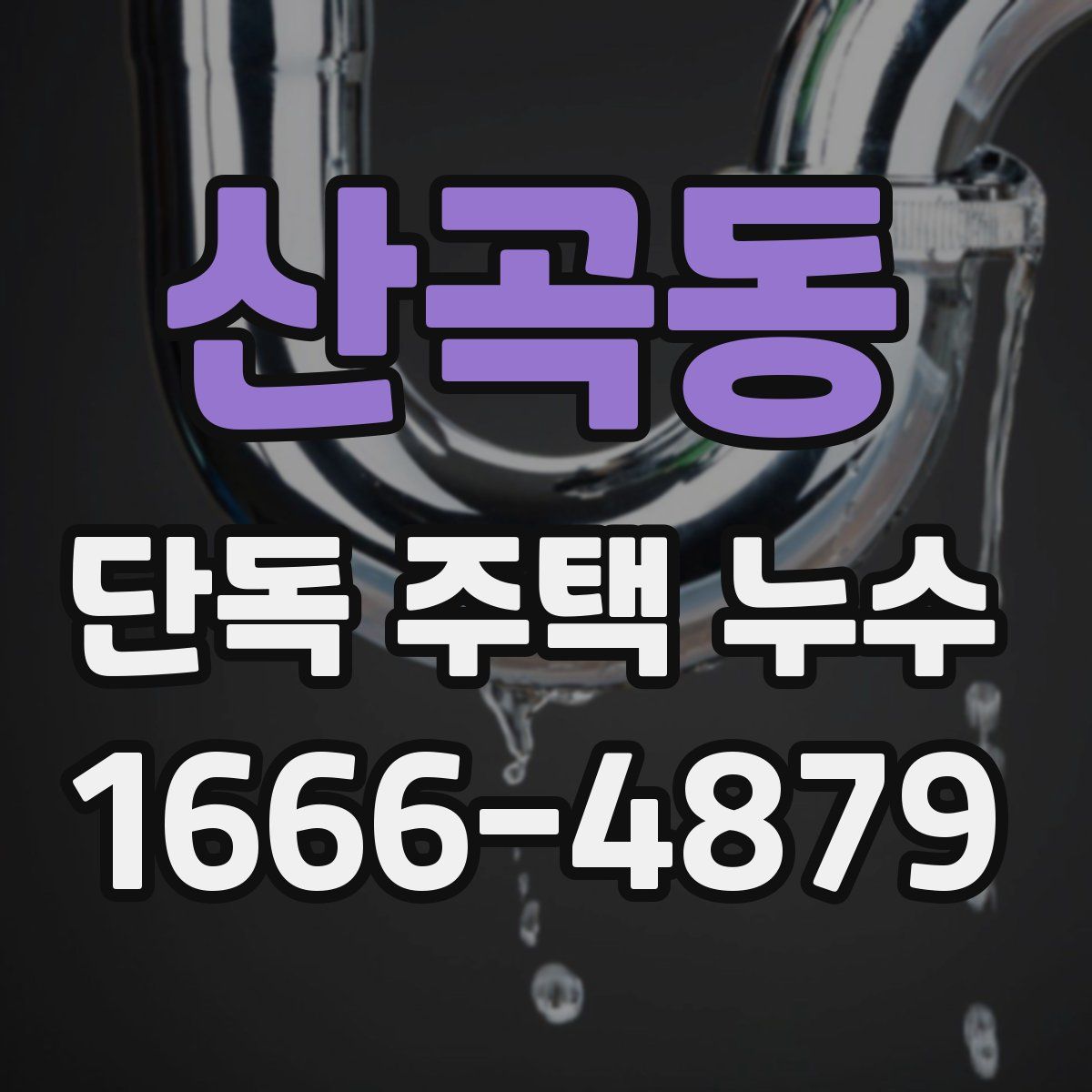 산곡동 단독 주택 누수