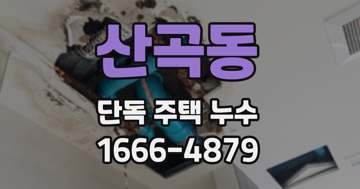 산곡동 단독 주택 누수
