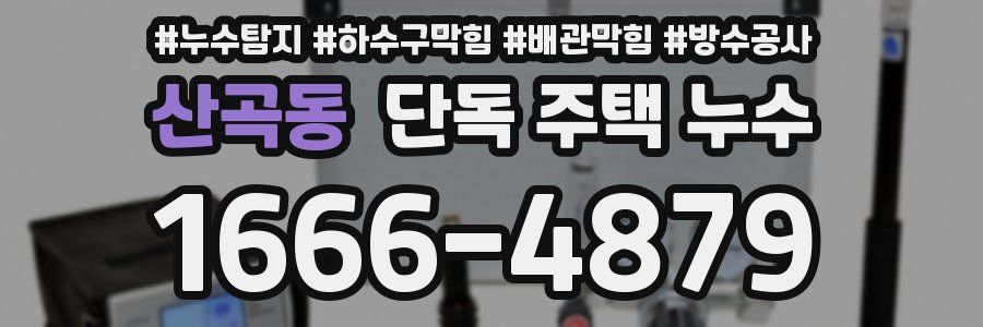 산곡동 단독 주택 누수