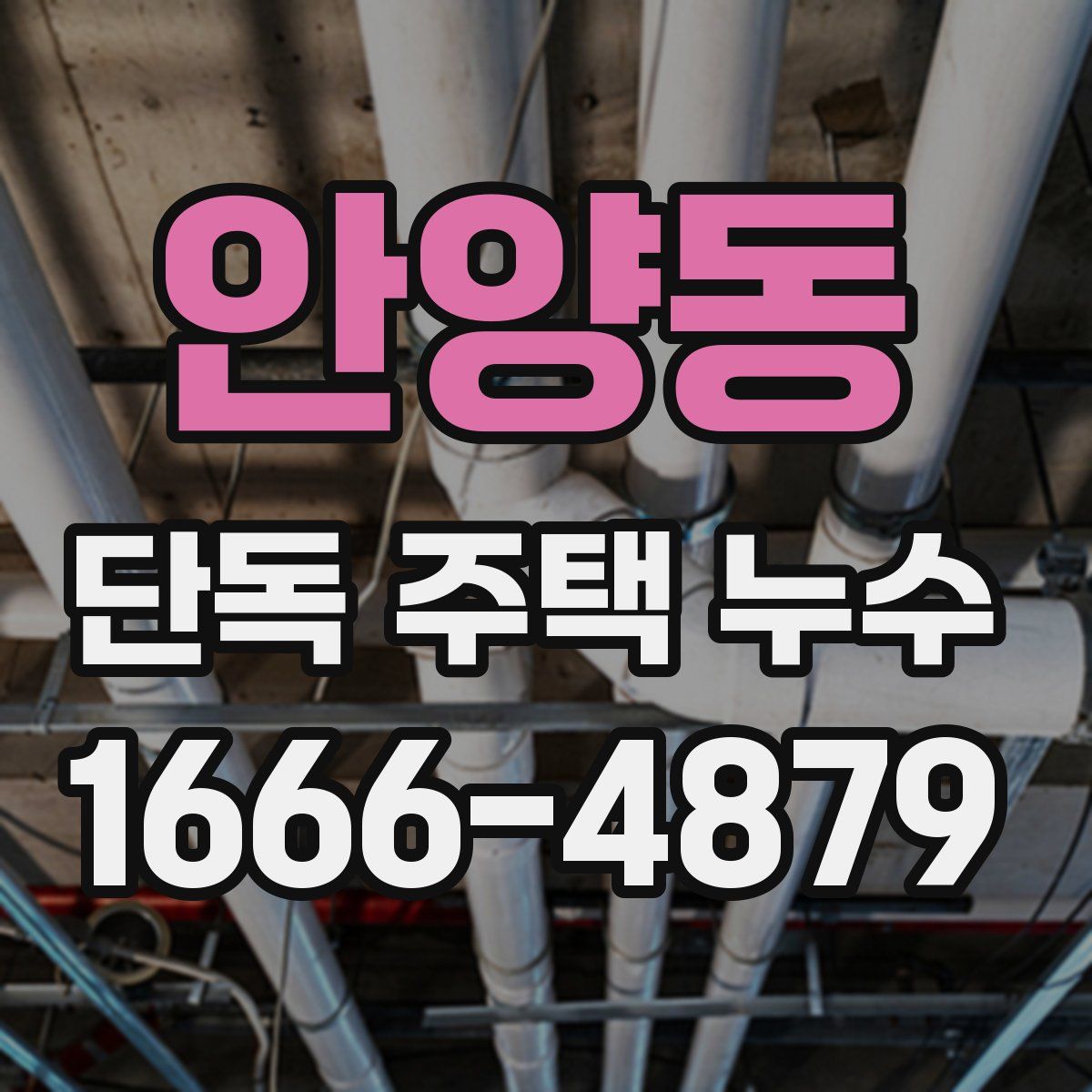 안양동 단독 주택 누수