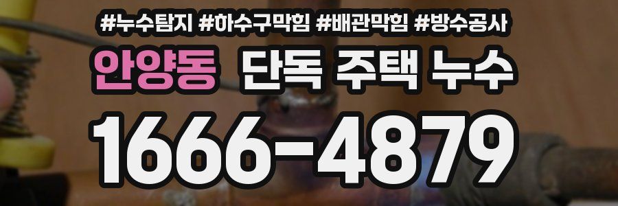 안양동 단독 주택 누수