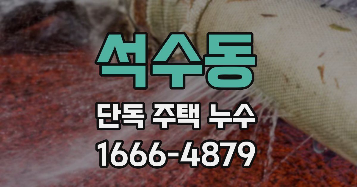 석수동 단독 주택 누수