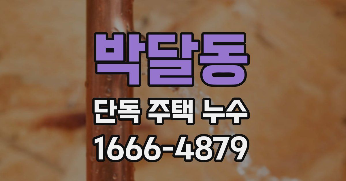 박달동 단독 주택 누수