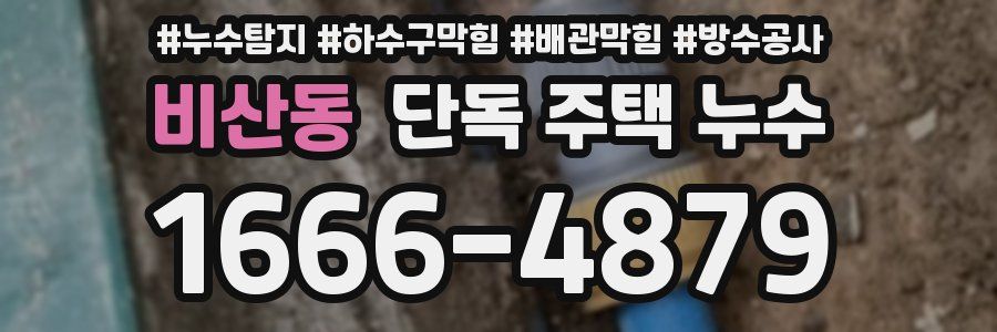 비산동 단독 주택 누수