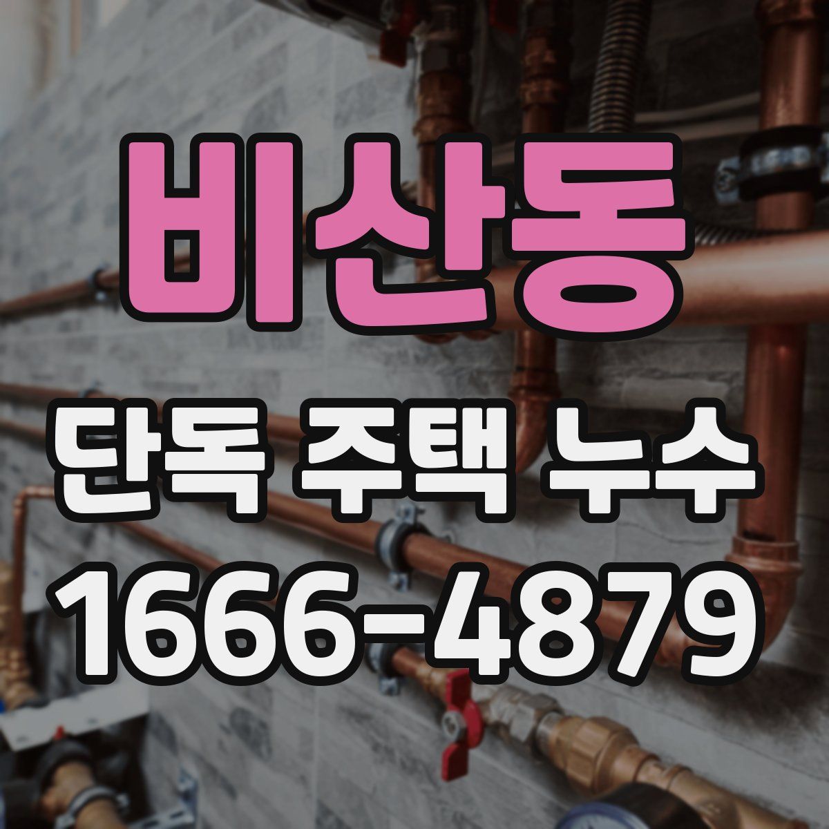 비산동 단독 주택 누수