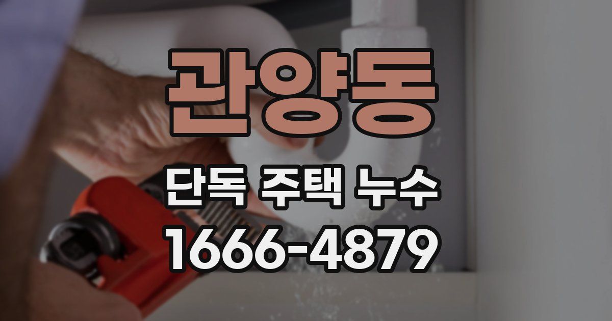 관양동 단독 주택 누수