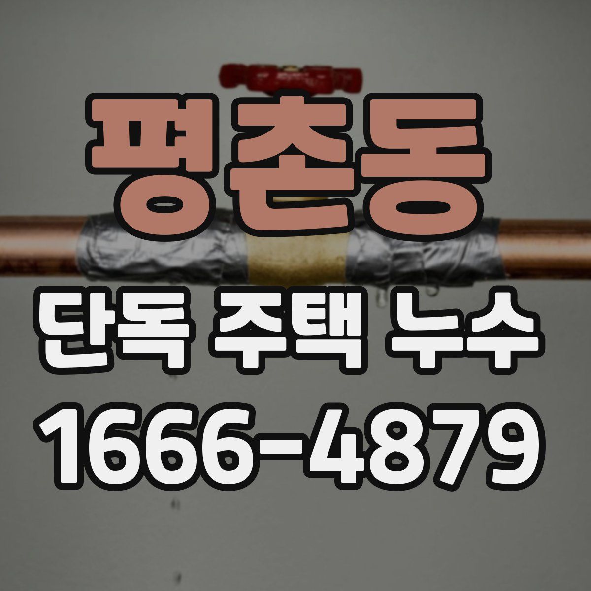 평촌동 단독 주택 누수