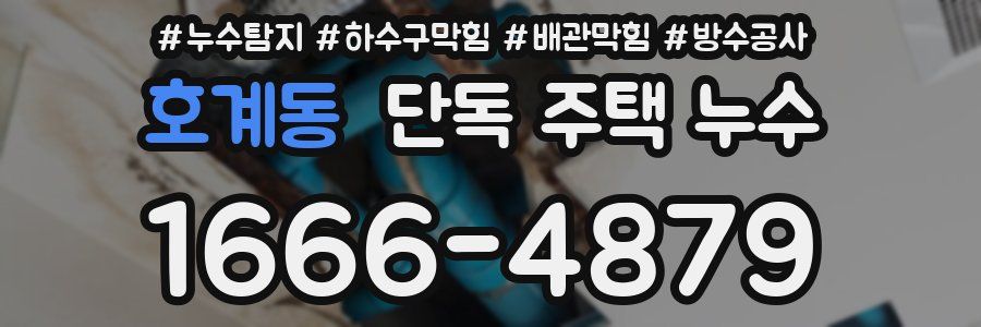 호계동 단독 주택 누수