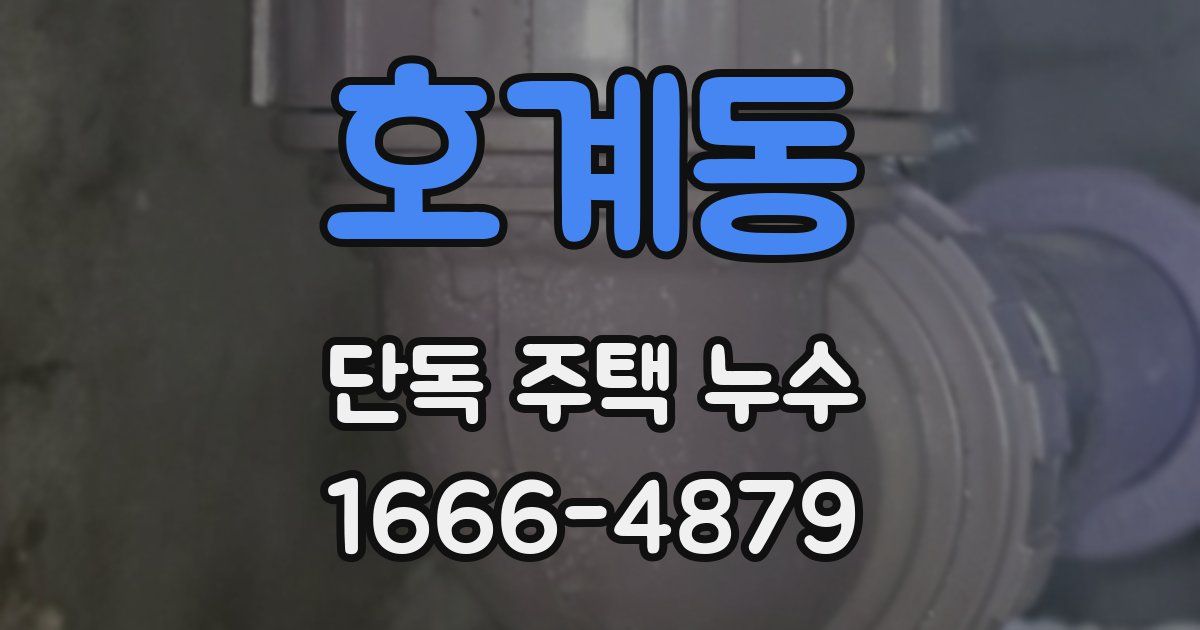 호계동 단독 주택 누수
