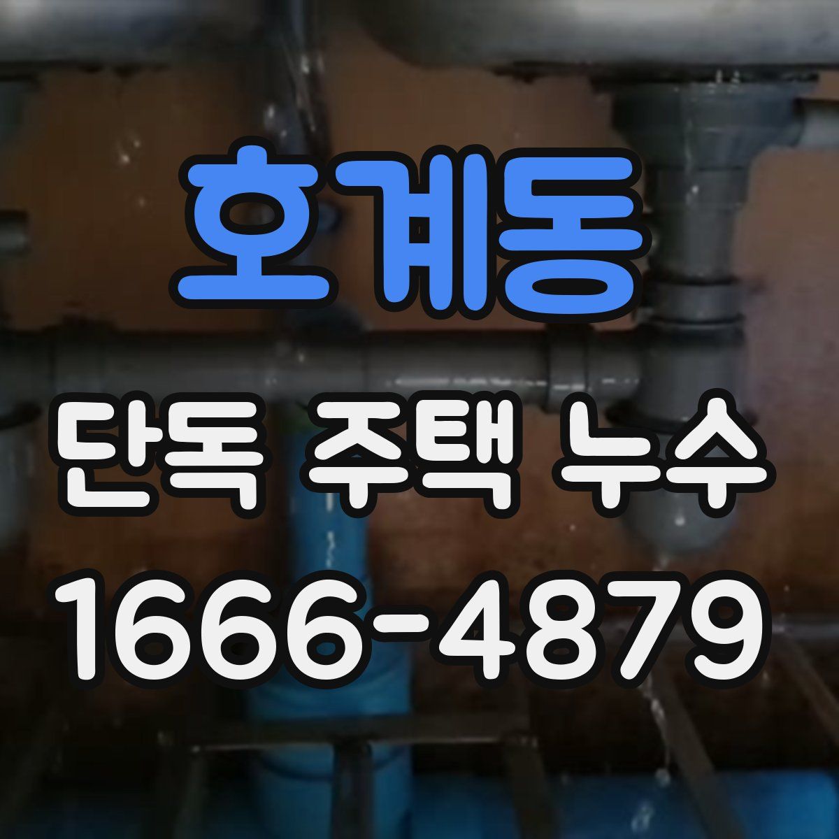 호계동 단독 주택 누수