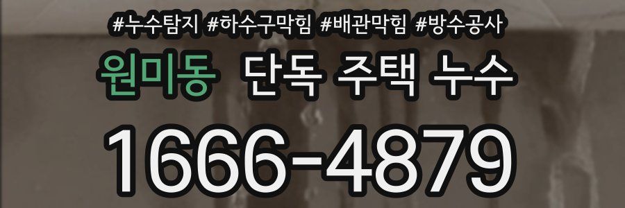 원미동 단독 주택 누수