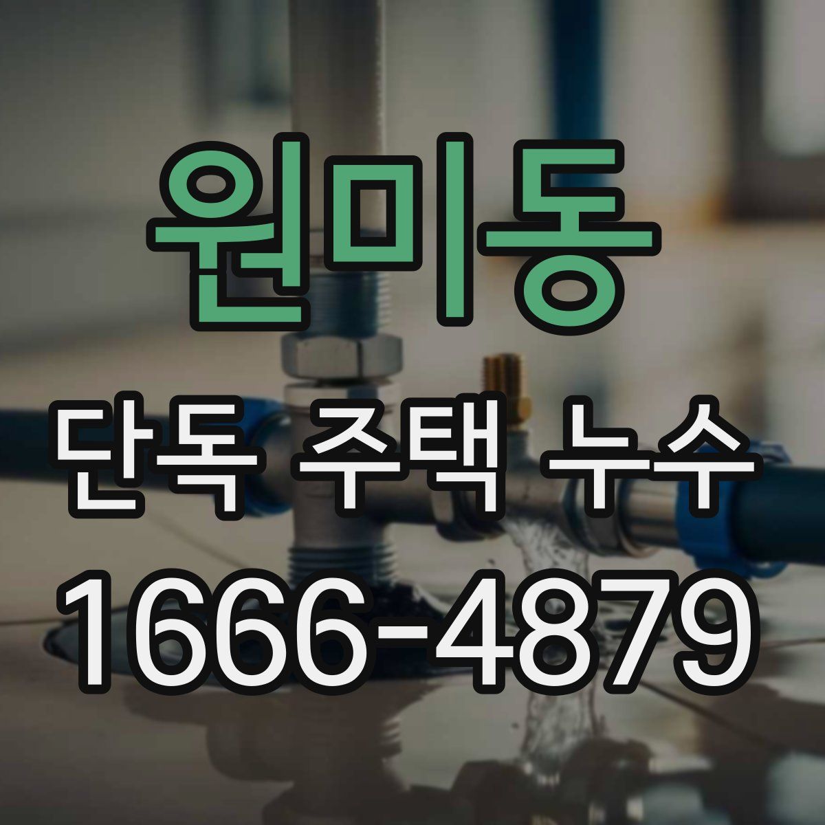 원미동 단독 주택 누수